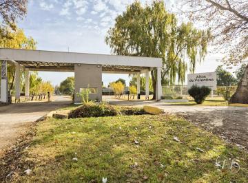Terreno · 786m² · Terreno B° Privado Altos de Valentina Neuquen