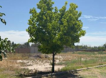 Terreno · 1036m² · Lote en Venta en Tierra Malbec, Chacras de Coria
