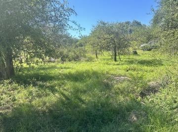 Terreno · 332m² · ¡Importante Oportunidad! Lote en Venta Jose de La Quintana