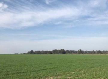 Campo · 1750000m² · 1 Ambiente · 175 Ha en Cardales