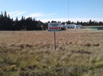 Terreno , Bahía Blanca · Lote en Venta, Barrionuevo Al 3000