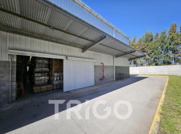 Depósito · 1250m² · 1 Ambiente · Depósito en Alquiler con 950 Posisiones Incluidas Tipo Racks Mecalux Polo Industrial Ezeiza