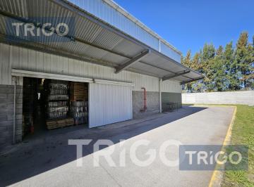 Depósito · 1250m² · 1 Ambiente · Oportunidad Única