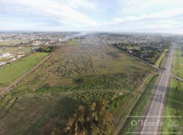 Campo · 120000ha · Chacra en Venta de 12 Has en Cañuelas