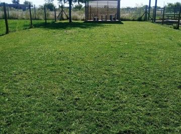 Terreno · 252m² · Venta Lote Oportunidad Barrio Semicerrado El Overo 2 Sin Expensas Perimetrado con Pérgola Financia