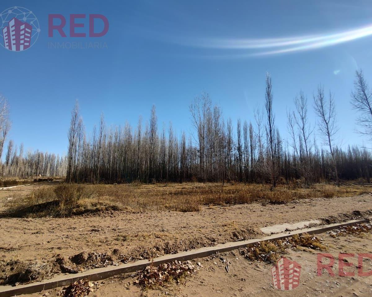 Candolle al 2000, Plottier, Neuquén