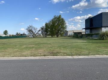 Terreno · 788m² · Venta Lote Terreno Barrio El Naudir Escobar