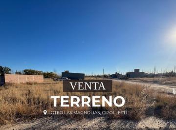 Terreno · 185m² · En Venta Terreno en Loteo Las Magnolias Cipolletti
