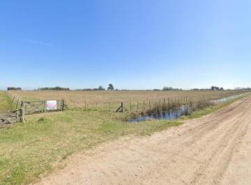 Campo · 125000ha · Campo en Venta - 12.5 Hectáreas - General Guido