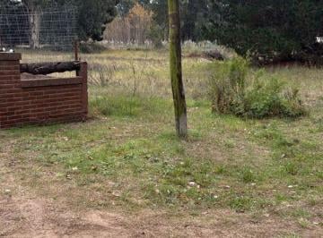Terreno , La Lucila del Mar · Oportunidad Lote en El Pinar