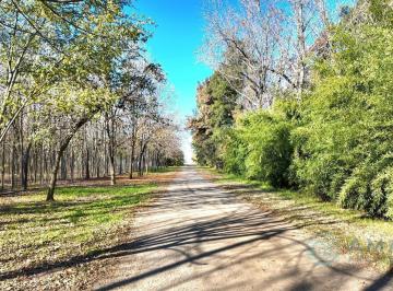 Terreno · 160m² · Venta Lote