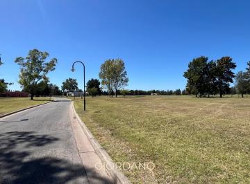 Terreno · 1600m² · Terreno en Area 60