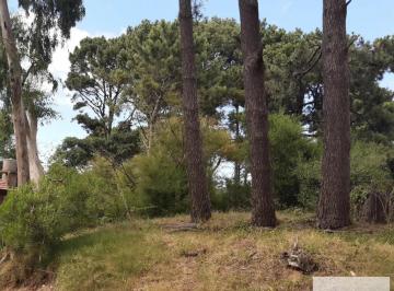 Terreno · 584m² · Terreno en Venta - 584 m² - Ostende