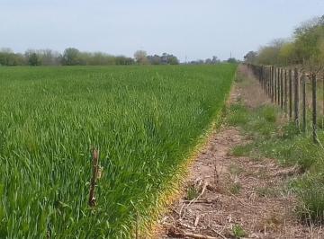 Campo · 260328m² · Campo en Venta - 260.328 m² - Lobos