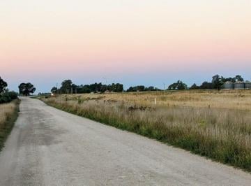 Campo · 53110m² · Tres Chacras en Juarez