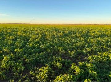 Terreno , Pergamino · Campo Agricola - Ganadero de 375 Hectáreas.