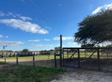 Campo · 981ha · Se Vende Campo en Moussy a 20 Km Reconquista