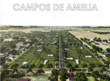 Terreno · 585m² · Venta Lote en Campo de Amelia - Villa Amelia