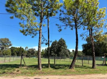 Terreno · 1130m² · Venta Terreno Roldán, Alto Verde y Ruta 9, 1130 m²