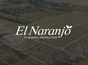 Terreno · 319m² · Lote en Venta en El Naranjo Ibarlucea Oportunidad!