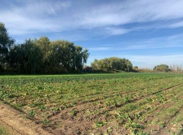 Campo · 300ha · Finca en Venta Corralitos, en Produccion