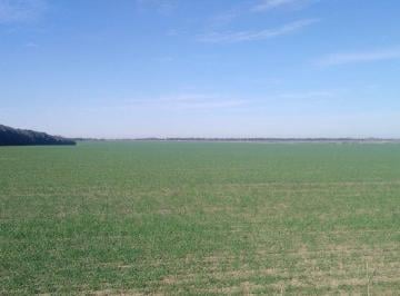 Campo · 20ha · Venta Campo en María Luisa