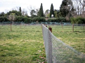 Terreno · 440m² · Venta Lotes Barrio Cerrado Parque Peró del Viso