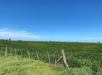 Campo · 18ha · Venta Campo 100% Agricola 18,4 Ha Chovet