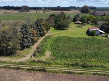 Campo · 250m² · 11 Ambientes · Campo en Venta - 374.939 m² - Lima, Zarate