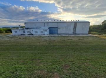 Bodega-Galpón · 1024m² · Galpon 1000 m² con Oficinas y Playa Maniobras