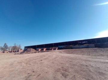 Terreno · 7000m² · Se Vende Terreno y Galpón, Las Heras