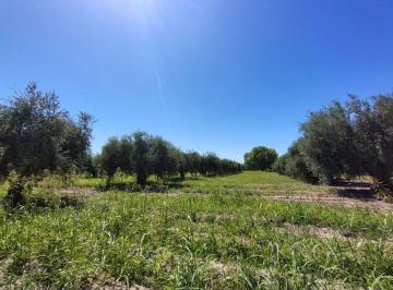 Terreno · 28000m² · Se Vende Terreno en Maipú, Mendoza