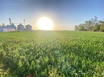 Campo · 5ha · Oportunidad 5 Lotes con Alto Retorno Sobre Ruta 1