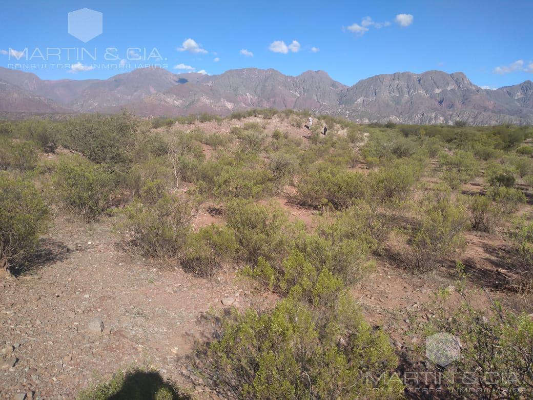 Ex Ruta 40,  Tinogasta, Catamarca