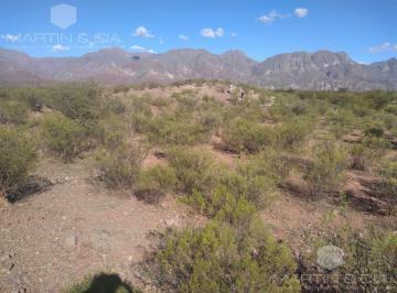 Campo · 28580000ha · Campo en Tinogasta - Costa de Reyes