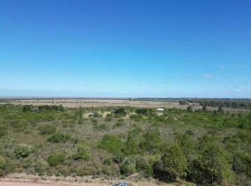 Terreno · 10000m² · Terreno en Venta - 1 Hectárea - Matamora, Uruguay