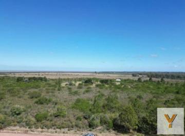 Terreno · 10000m² · Terreno en Venta - 1 Hectárea - Matamora, Uruguay