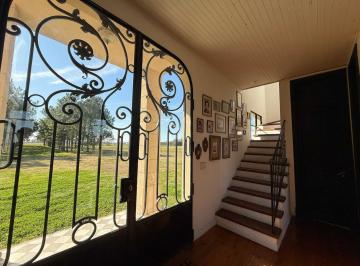 Campo · 160ha · 4 Ambientes · Chacra en San Andres de Giles 2ha