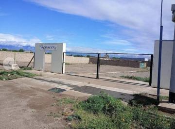 Terreno · 216m² · Venta Lote Barrio Cerrado Renacer III Guaymallen
