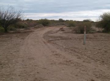Campo · 29420000ha · Campo en Venta Lavalle - Producción Agrícola Ganadera Eólica