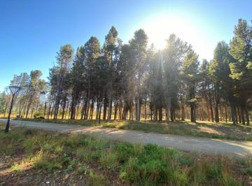 Terreno · 1116m² · Venta de Terreno con Salida Al Lago