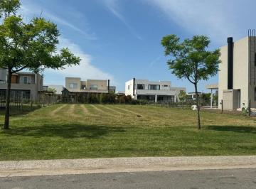 Terreno · 724m² · Terreno en Venta - 600 m² - Escobar