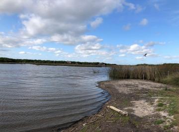 Campo · 16100m² · Chacra en Venta - 16.100 m² - Pinamar