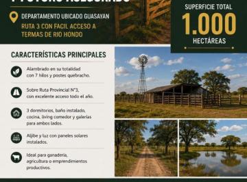 Campo , Termas de Río Hondo · Campo Productivo en Venta – Guasayán, Santiago del Estero