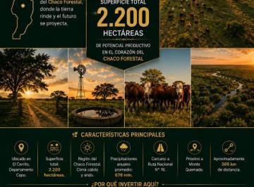 Campo , Barranqueras · Campo Productivo en Venta – Chaco
