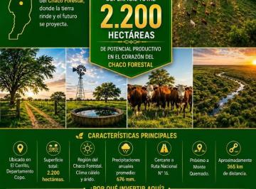 Campo , Ahí Veremos · El Cerrito – Departamento Copo en El Corazón del Chaco Forestal.