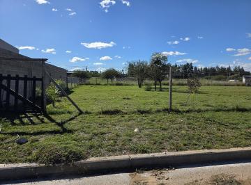 Terreno · 503m² · Terreno Urbano en Venta en Concepción del Uruguay, Entre Ríos, Argentina
