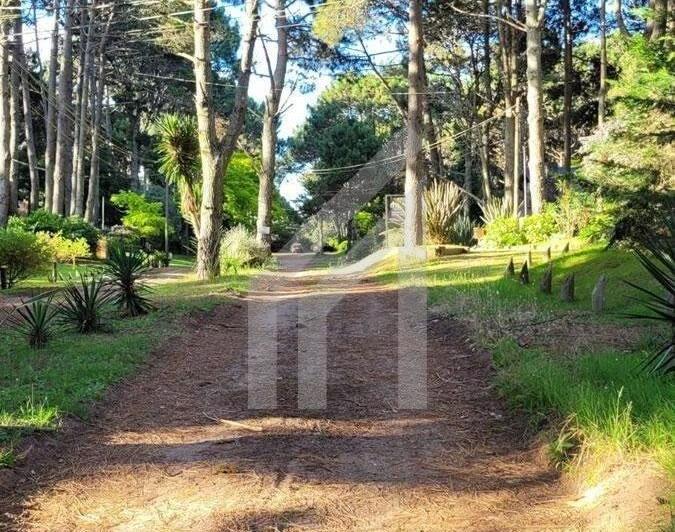 Terreno · 396m²