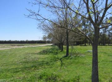Terreno · 1015m² · Terreno en Venta - 1.015 m² - Santa Inés III, Luján