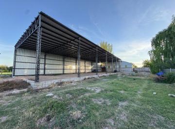 Campo · 2ha · Galpones en Venta con Casa Reciclada, Maipú